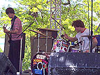 Panel Donor